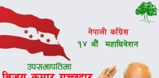 कांग्रेसको १४ औं महाधिवेशनः गच्छदार उपसभापतिका बलिया उम्मेदवार