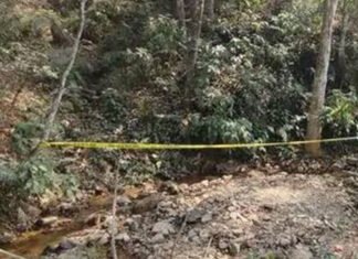 मानव अस्थिपञ्जर फेला