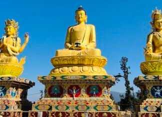 कोन्ज्योसोम गाउँपालिकाद्धारा विपत पोर्टल निर्माण