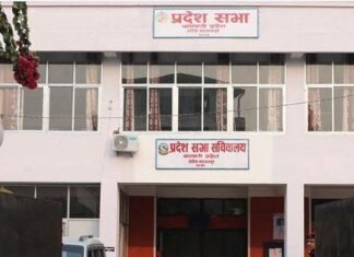 अध्यादेश जारी गर्ने बागमती सरकारको निर्णय