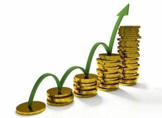 नेप्सेमा ३१ अंकको वृद्धि