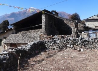 अवसर खाेज्न सहर पस्दै ढोरपाटनका तिब्बती शरणार्थी