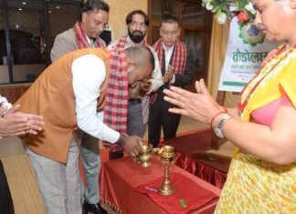 मन्दीको समयमा पनि तौडोलछाप नाफामा