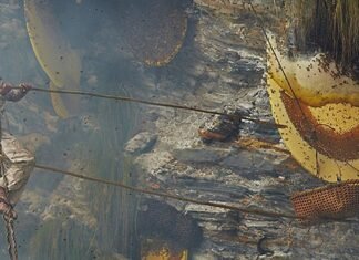 कास्कीको अन्नपूर्णमा ‘हनि हन्टिङ’ महोत्सव महोत्सव मंसिर २२ देखि २४ गतेसम्म सञ्चालन हुने