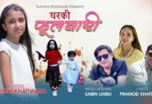 नवप्रतिभा परिधी खतिवडाको ‘घरकी फूलबारी’ सार्वजनिक (भिडियोसहित)