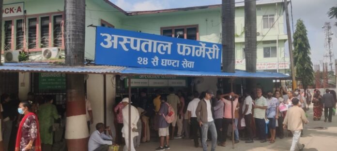 Koshi-ko-Farmashi-(1)