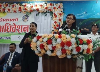 विराटनगर महानगरको ३ अर्ब ५६ करोड बजेट, प्रविधिमैत्री शिक्षा र सामाजिक विकासमा विशेष प्राथमिकता