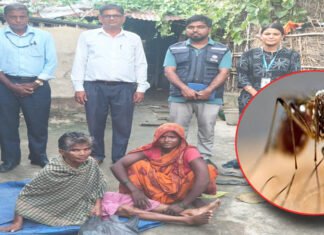 जापानीज इन्सेफ्लाइटिस मधेशमा फैलँदै, १९ संक्रमितमध्ये ६ जनाको मृत्यु